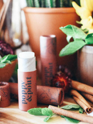 Cinnamint Lip Balm