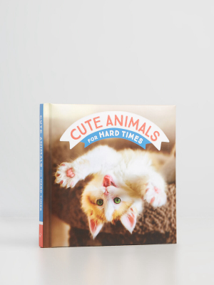 Cute Animals For Hard Times Book