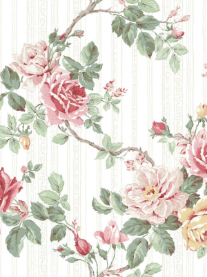 Springtime Trail Wallpaper In Classic Rose From The Spring Garden Collection By Wallquest