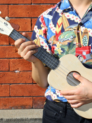 Make Your Own Ukulele