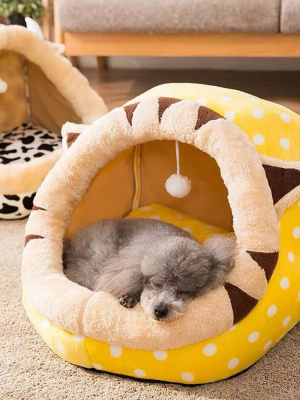 Snooze & Play - Pet Beds