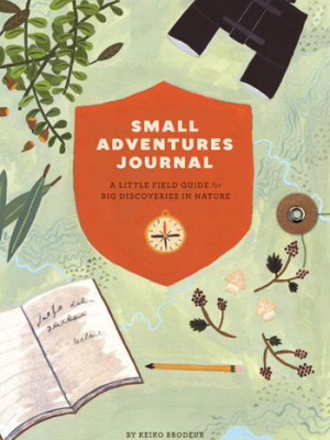 Small Adventures Journal