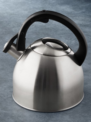 Open Kitchen By Williams Sonoma Stainless-steel Tea Kettle