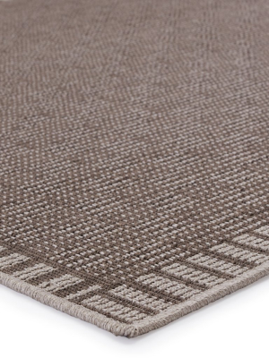 Iti Indoor/outdoor Border Taupe & Grey Rug