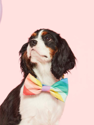 Over The Rainbow Bow Tie Collar