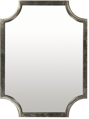 Joslyn Mirror In Silver