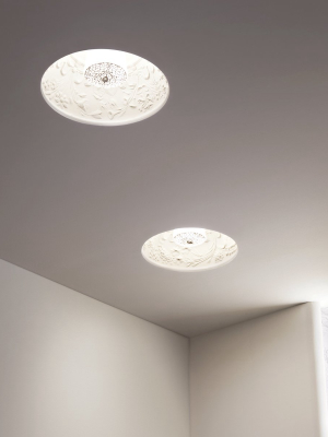 Skygarden Recessed Ceiling Light