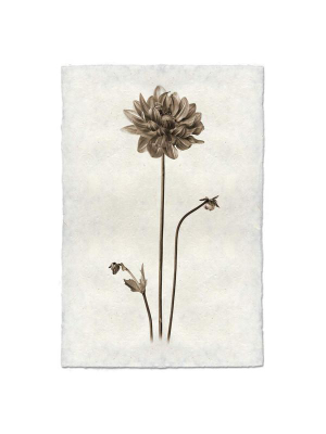 Flower Print "dahlia"