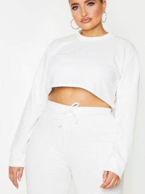 Plus Cream Wide Rib High Neck Crop Top