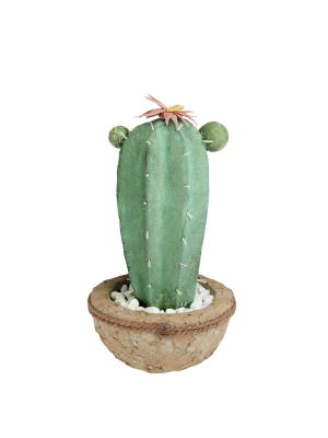 Northlight 13.75" Flowering Cactus Artificial Potted Plant - Green/brown