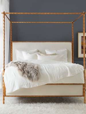 Organic Bed - Gold Leaf