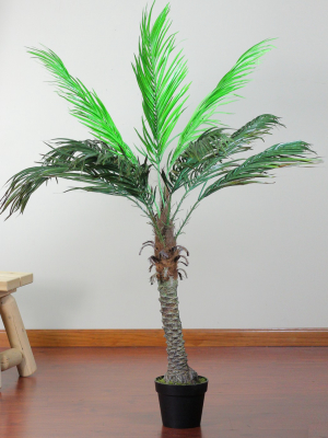 Northlight 4.8' Unlit Artificial Potted Phoenix Palm Tree