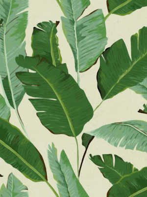 Banana Leaves Wallpaper In Beige And Green From The Tropical Vibes Collection By Mind The Gap