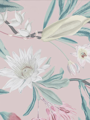 Paradise Wallpaper In Blush From The Exclusives Collection By Graham & Brown