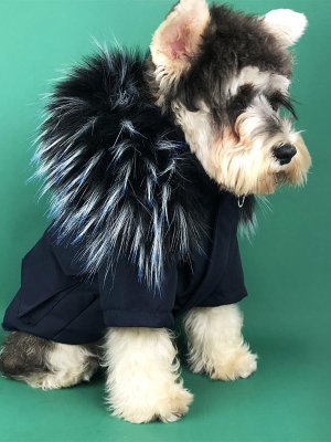 Fur Class - Pet Jacket