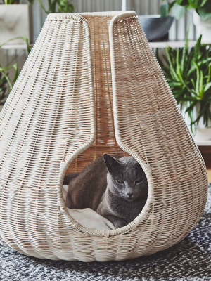 Perla Cat Cave