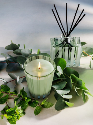 Wild Mint & Eucalyptus 3-wick Candle
