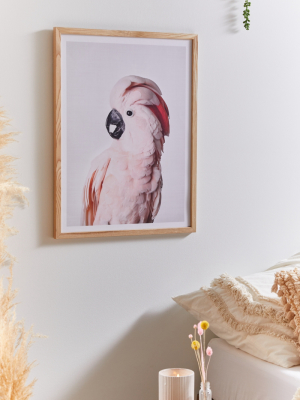 Sisi And Seb Pink Cockatoo Art Print