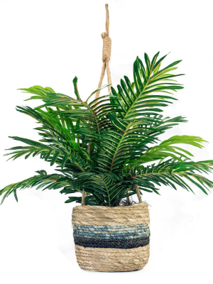 30" X 16" Artificial Phoenix Palm Plant In Hanging Basket - Lcg Florals