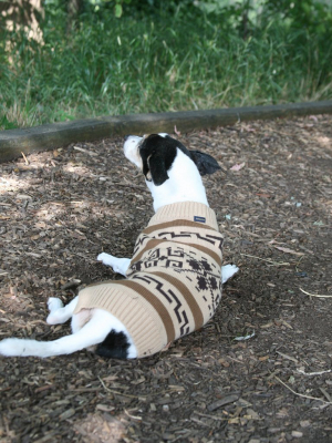 Classics Dog Sweater