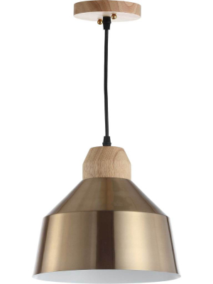 Damian Pendant Brass Gold/light Brown