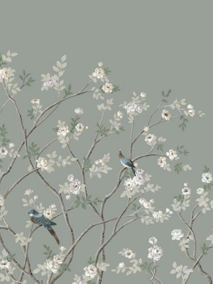 Lingering Garden Wall Mural In Grey From The Murals Resource Library By York Wallcoverings