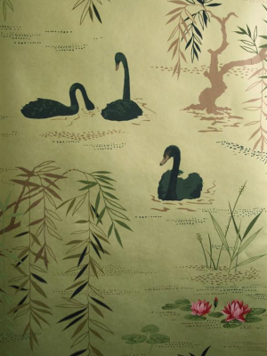 Swan Lake Wallpaper In Golden By Nina Campbell For Osborne & Little