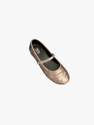 Sequin Ballet Flats Limited Edition