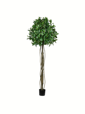 Vickerman Artificial Potted Bay Leaf Tree.