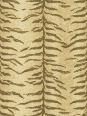 Tiger Pattern Wallpaper In Neutrals Design By Bd Wall