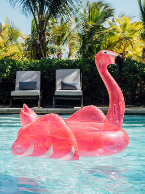 Clear Pink Glitter Flamingo Pool Float