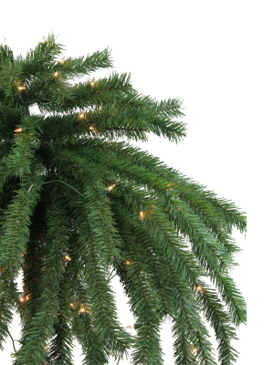 Northlight 6' Pre-lit Tropical Artificial Palm Tree - Clear Lights