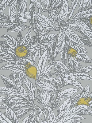 Medlar Wallpaper In Parchment From The Mansfield Park Collection By Osborne & Little