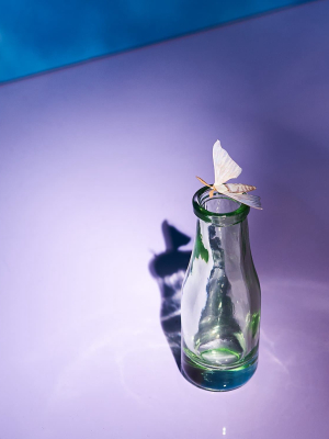 Mini Bottle Bud Vase - Clear