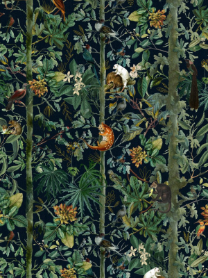 Wildlife Of Papua Wallpaper In Dark From The Wallpaper Compendium Collection By Mind The Gap