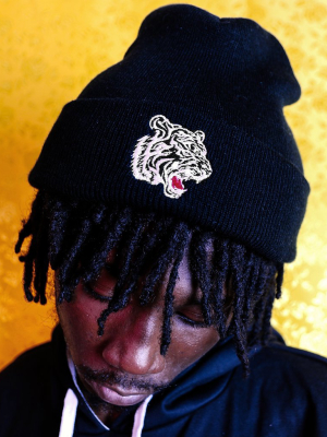 Non Plus Ultra Beanie