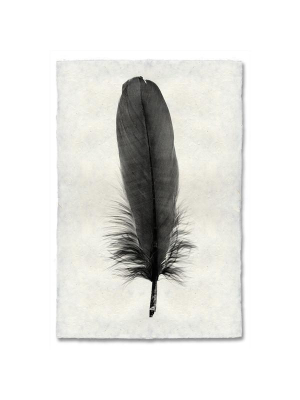 Feather #6 Print
