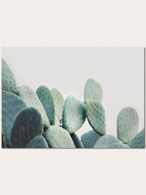 Pastal Cactus