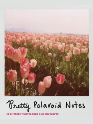 Pretty Polaroid Notes