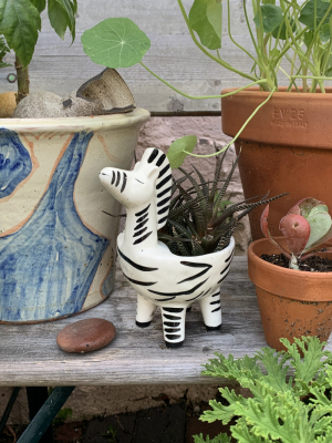 Zebra Shaped Planter