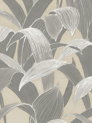 Cha Cha Wallpaper In Slate