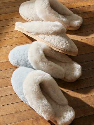 Emu Jolie Teddy Slippers