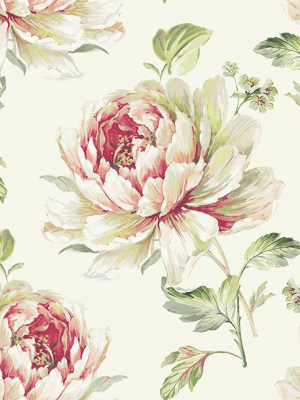 Jarrow Floral Wallpaper In Ivory And Reds By Carl Robinson For Seabrook Wallcoverings