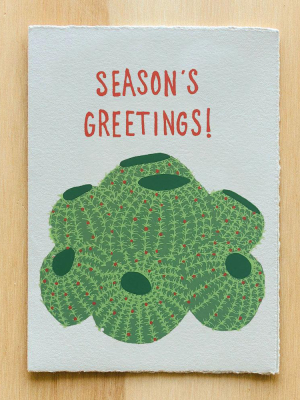 Holiday Barrel Cactus Card