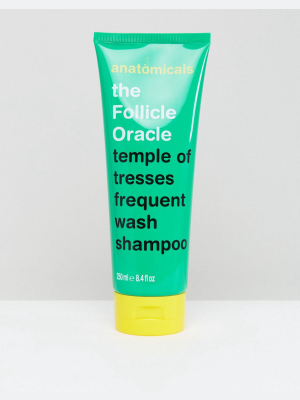 Anatomicals The Follicle Oracle Shampoo 250ml