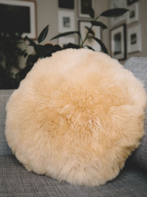 Full Moon Alpaca Pillow || Intiearth