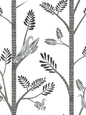 Aviary Branch Peel & Stick Wallpaper In Grey From The Risky Business Iii Collection By York Wallcoverings