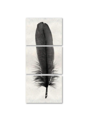 Feather #6 Trilogy Print
