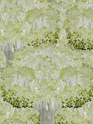 Savage Leaves Wallpaper In Green From The Wallpaper Compendium Collection By Mind The Gap