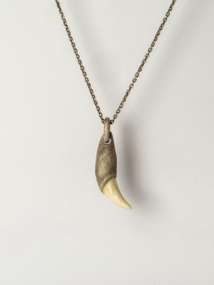 Bear Tooth Necklace Ghost Hybrid (small, Da+b)